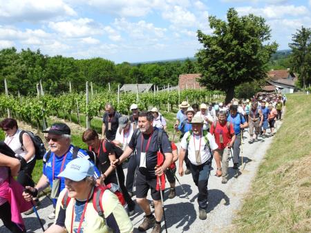Pomlad v prleških goricah 2017 99